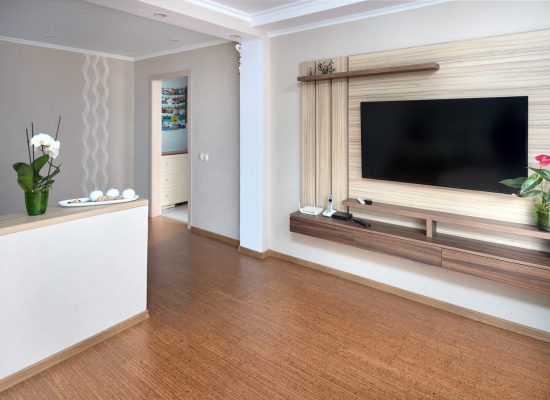 Modern apartment living room with large TV over wooden cabinet Orchid, cork floorboards and door to corridor. Real room of real estate, residential house.